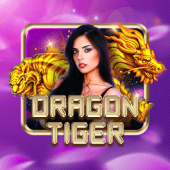 Dragon Tiger live table at PHdream Casino